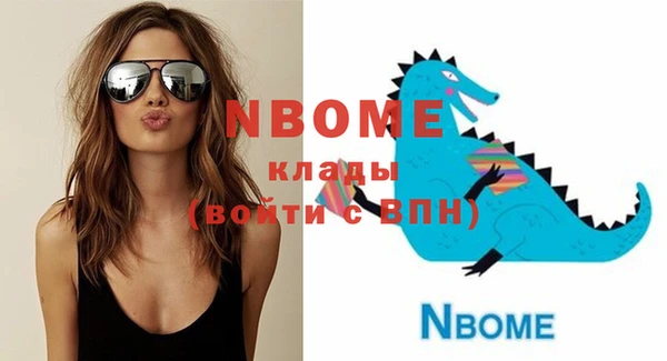 МДПВ Протвино