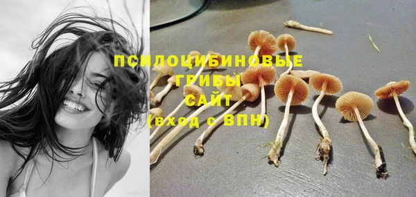 спиды Абдулино